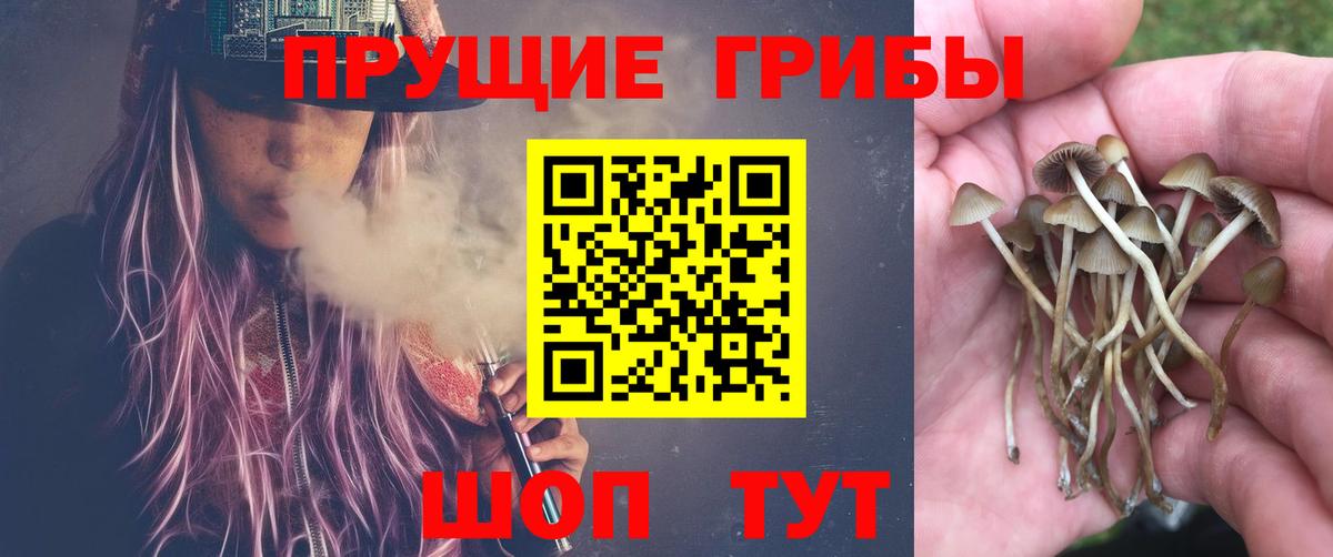 Псилоцибиновые грибы ЛСД Аргун