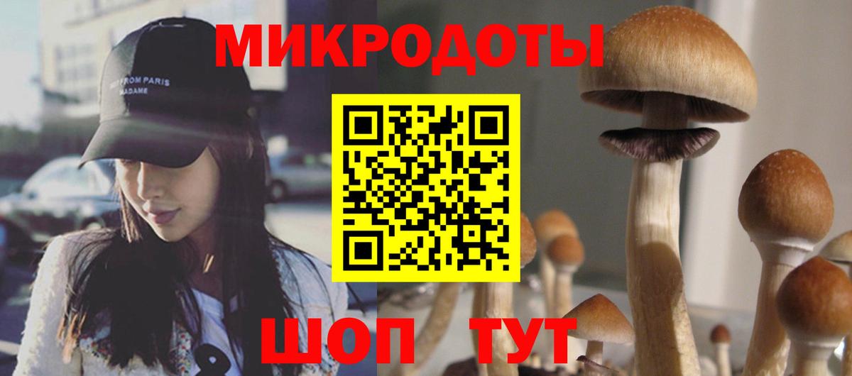 Псилоцибиновые грибы Magic Shrooms  Вход с VPN  Аргун 